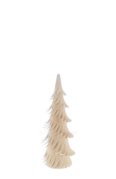 Spiralenbaum 9 cm